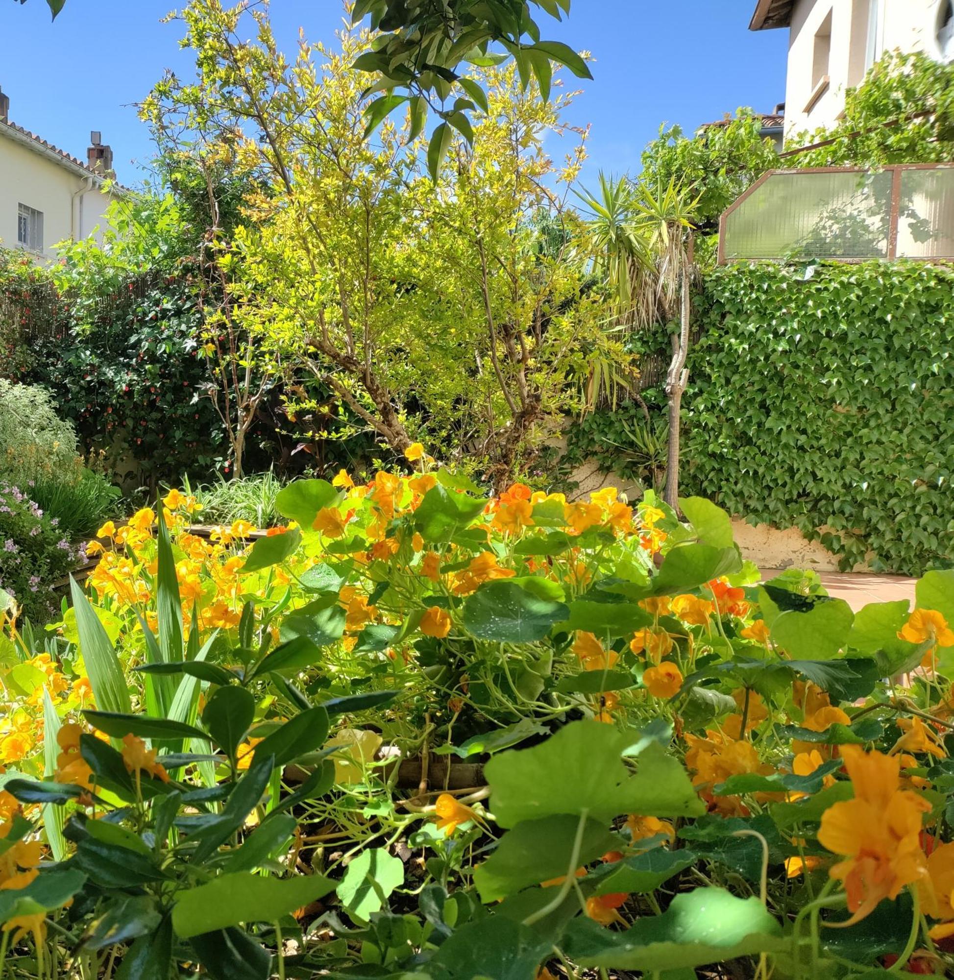 Les Papillons Apartment Perpignan Luaran gambar